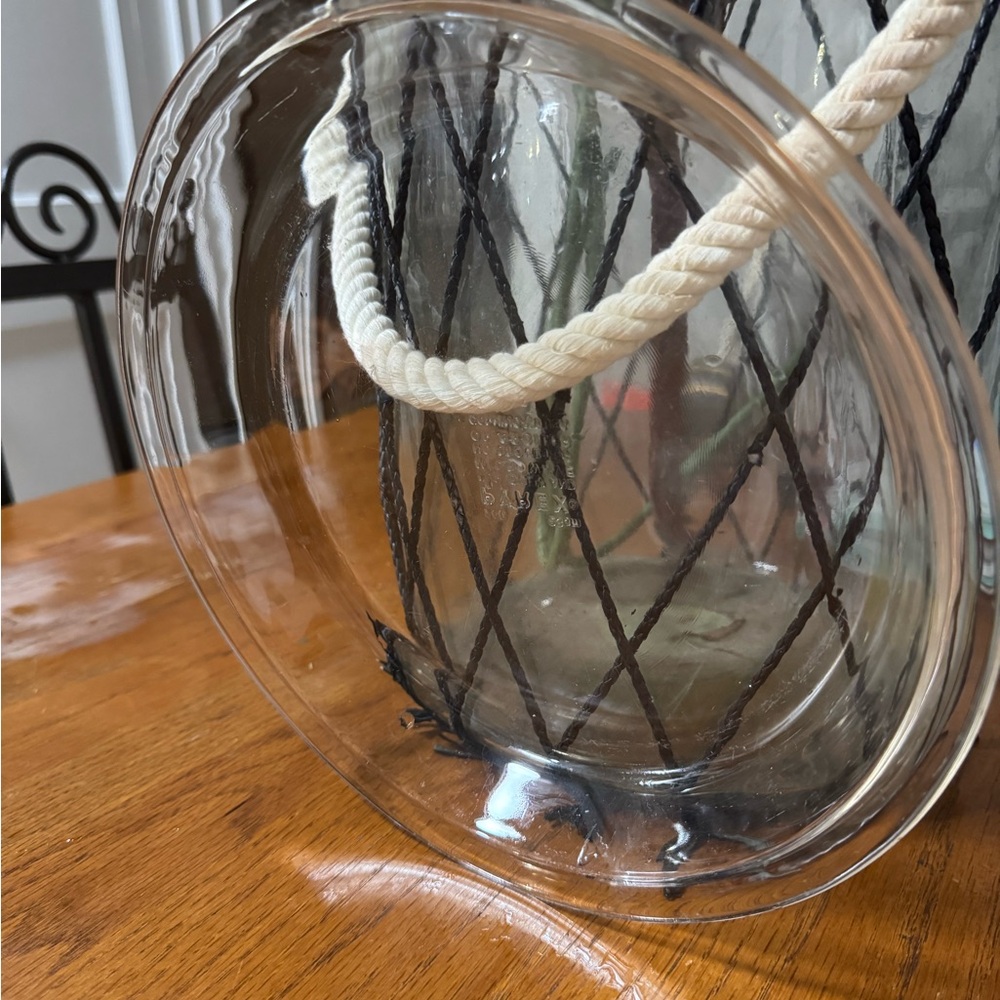 Pyrex Transparent Glass Pie Plate - Picture 2 of 3